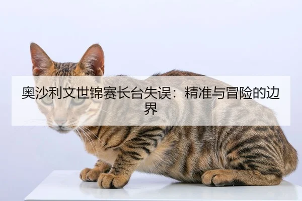 奥沙利文世锦赛长台失误：精准与冒险的边界