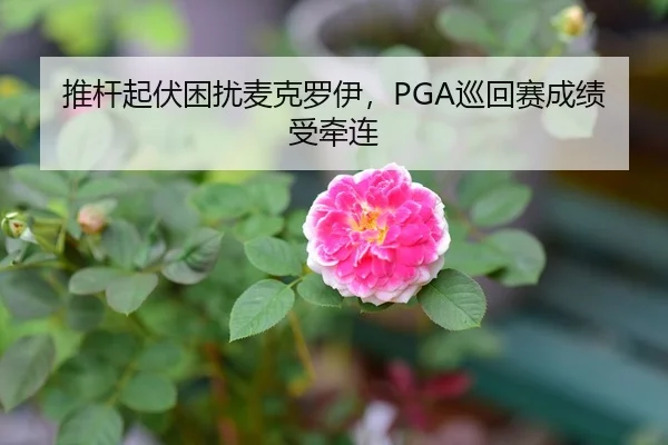 推杆起伏困扰麦克罗伊，PGA巡回赛成绩受牵连