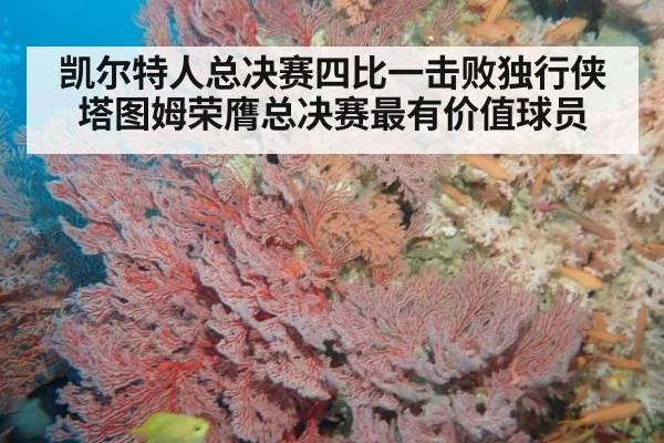 凯尔特人总决赛四比一击败独行侠 塔图姆荣膺总决赛最有价值球员